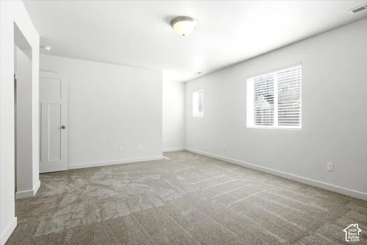 Spacious room with light neutral carpeting, multiple windows with blinds, a ceiling-mounted light fixture, and a solid panel interior door