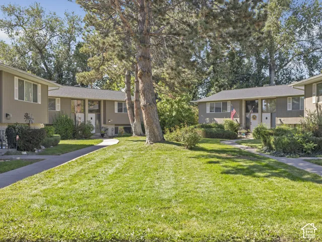 Expansive green lawn with mature trees and paved walkways