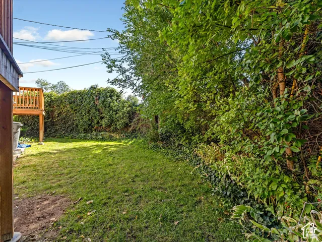 Expansive grassy yard with a raised wood-finish deck and surrounding mature foliage