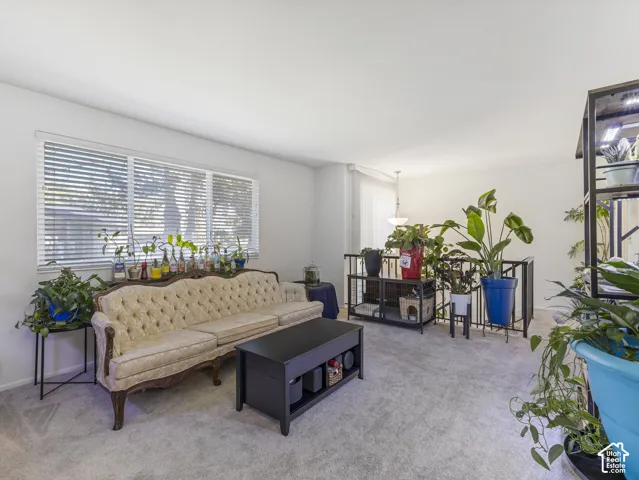 Bright living space with carpet