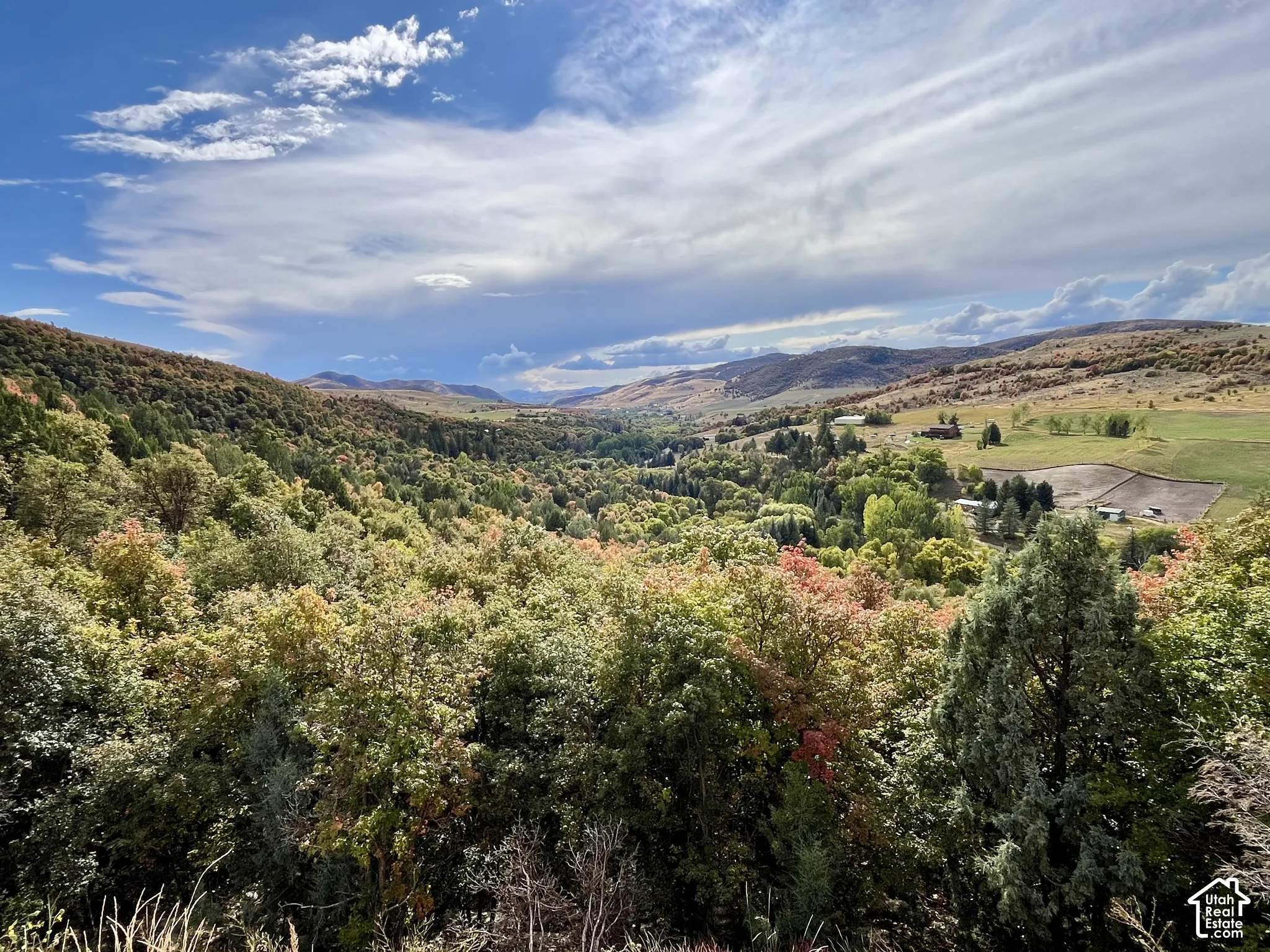 Expansive natural landscape featuring rolling hills and abundant trees