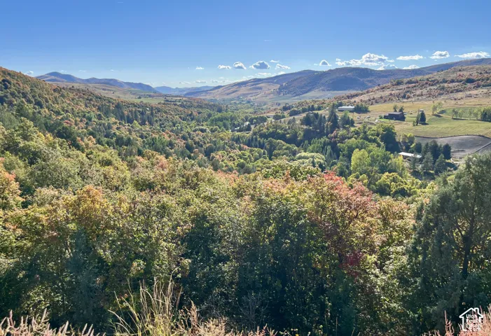 Expansive mountain scenery with diverse tree foliage