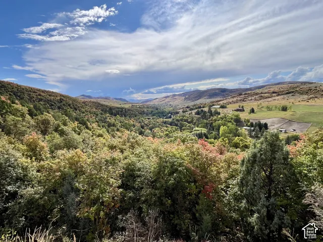 Expansive natural landscape featuring rolling hills and abundant trees