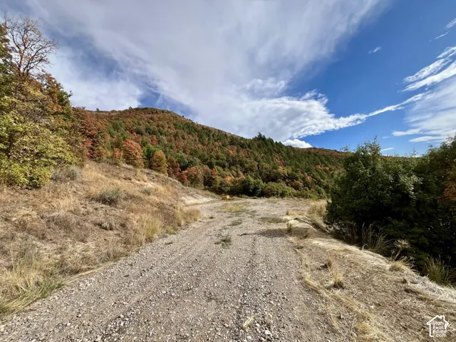 Gravel path leading to a sloped, tree-covered hillside