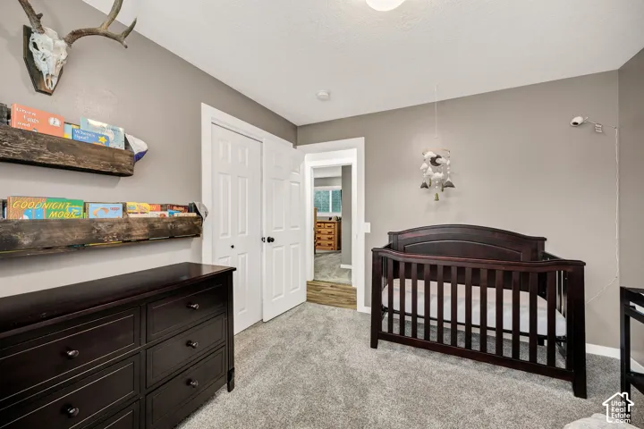Plush carpeting and neutral-toned walls