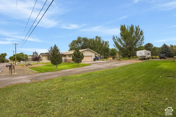 Expansive green space with a gravel driveway and established trees
