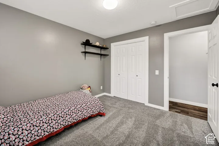 Gray wall finishes, built-in shelving, white bi-fold closet doors, white paneled interior doors, and gray carpet flooring