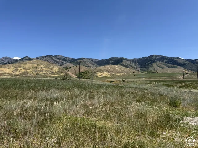 Expansive open field with natural grasses and distant mountain range backdrop under a clear sky