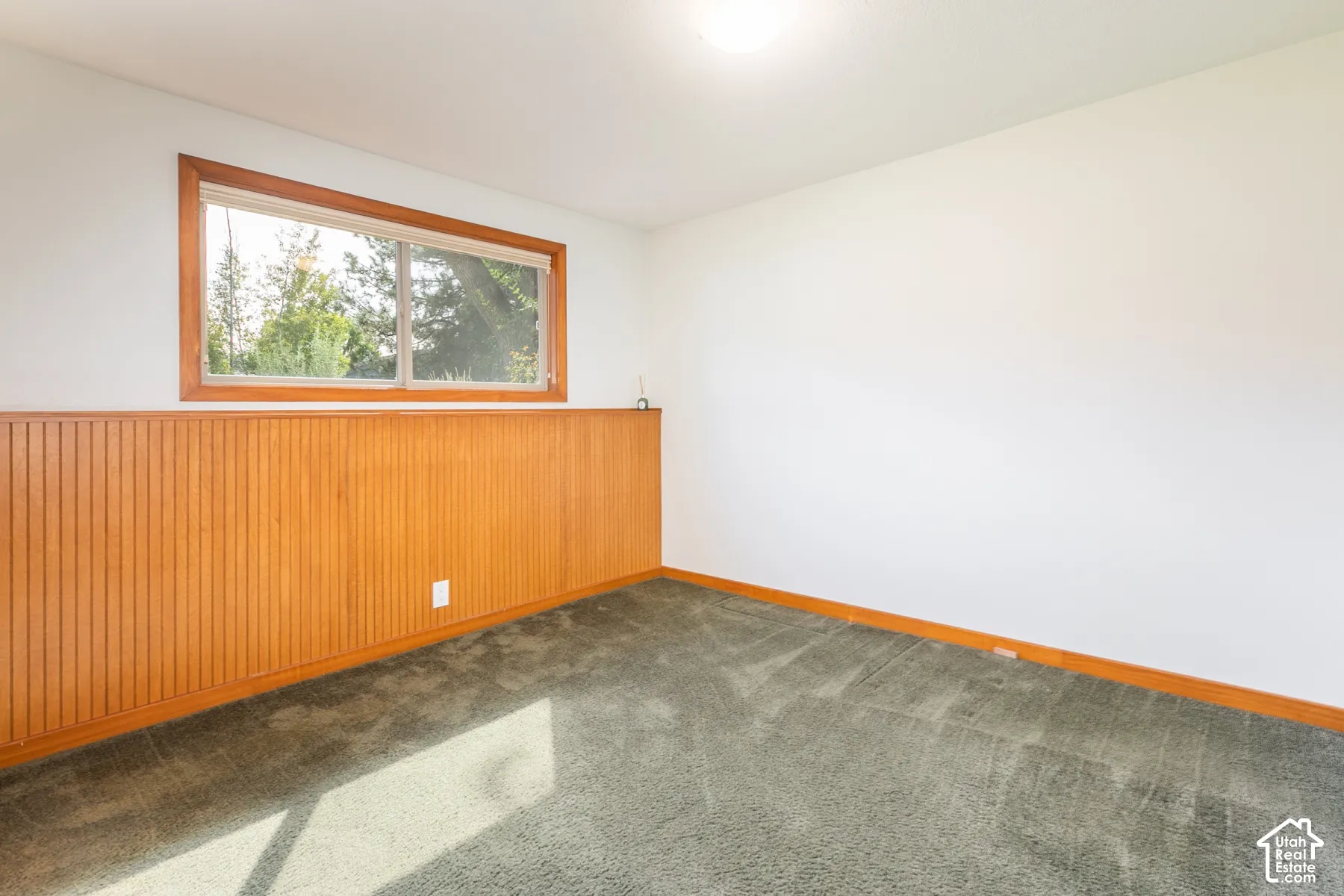 Wood-paneled wainscoting with a natural finish, wood-trimmed window, and light carpeting