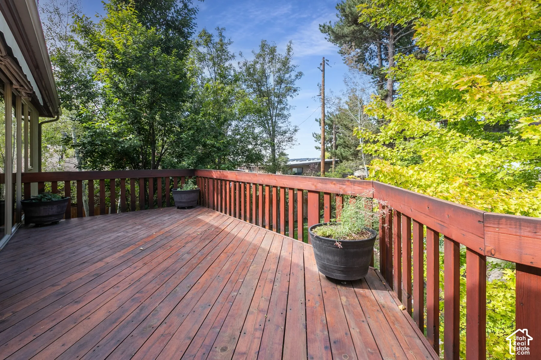 Expansive wood deck with rich wood-finish railings, surrounded by mature trees