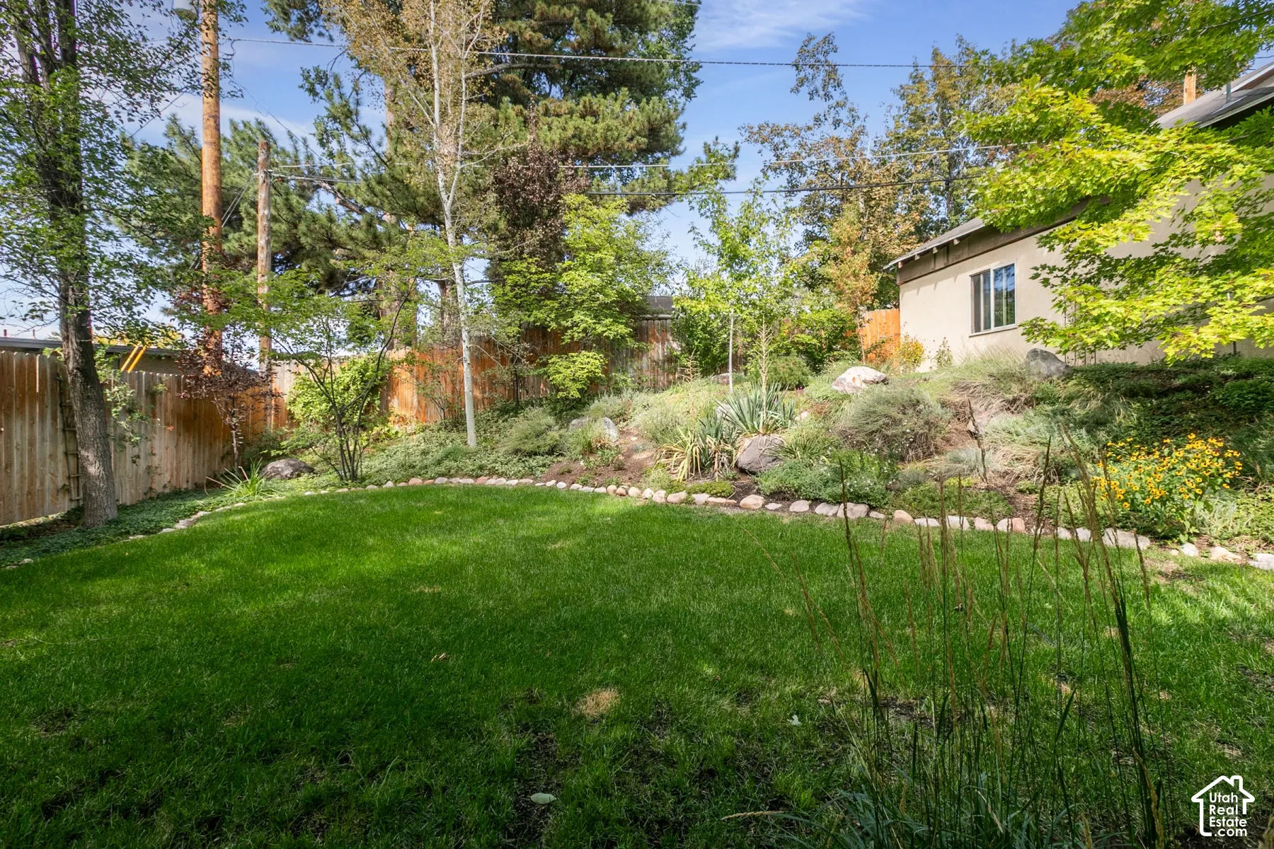 Expansive backyard featuring a manicured lawn, established landscaping, and a privacy fence