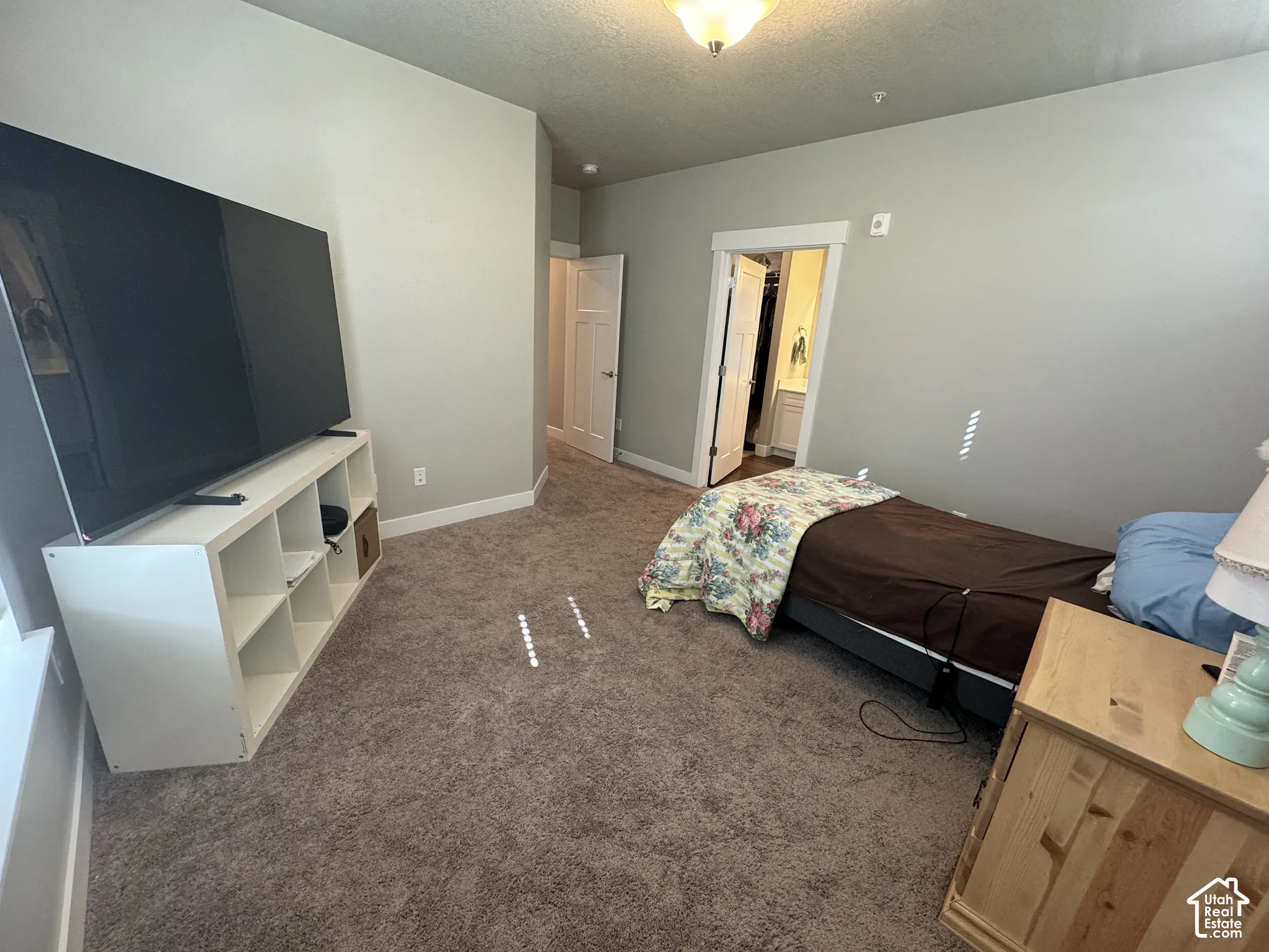 Neutral tone wall paint, textured carpeting, recessed doorway, and ceiling-mounted light fixture