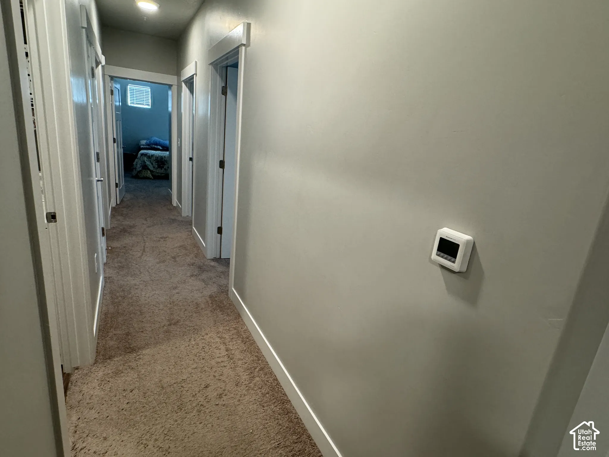 Hallway featuring neutral-toned walls, carpeted flooring, and white trim