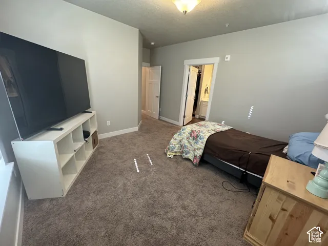 Neutral tone wall paint, textured carpeting, recessed doorway, and ceiling-mounted light fixture