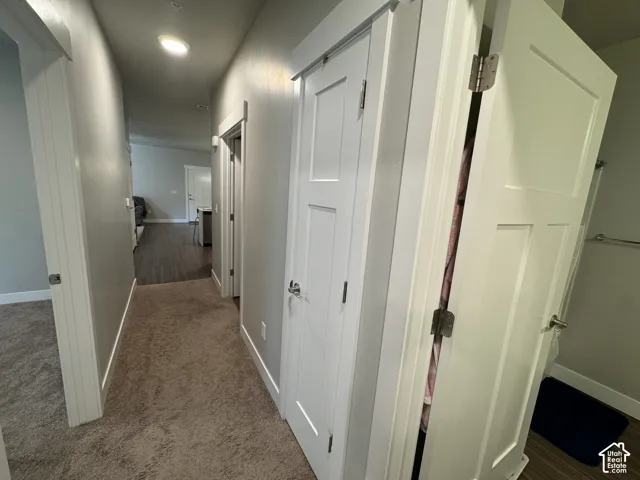 Hallway featuring recessed lighting, paneled doors, and carpet flooring