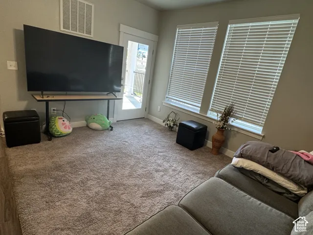 Neutral wall paint, two large windows with blinds, a glass-paned door, and plush carpeting