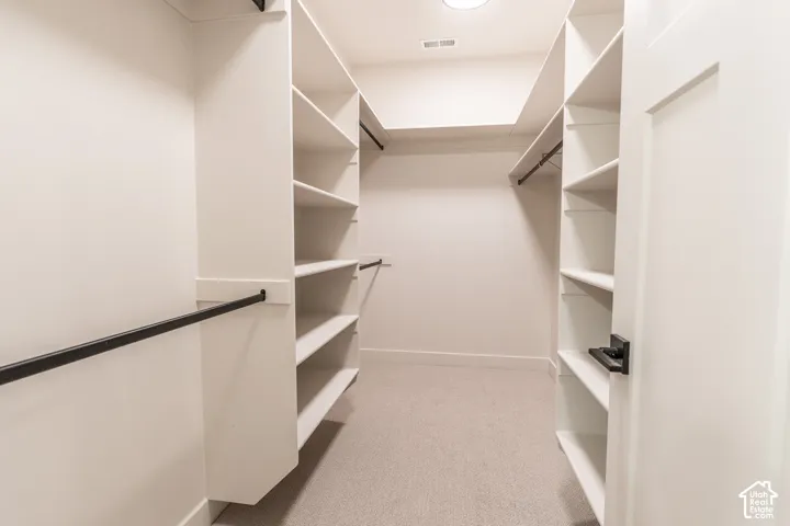 Walk-in closet with carpet flooring, built-in shelving, black hanging rods, and a flush mount ceiling light