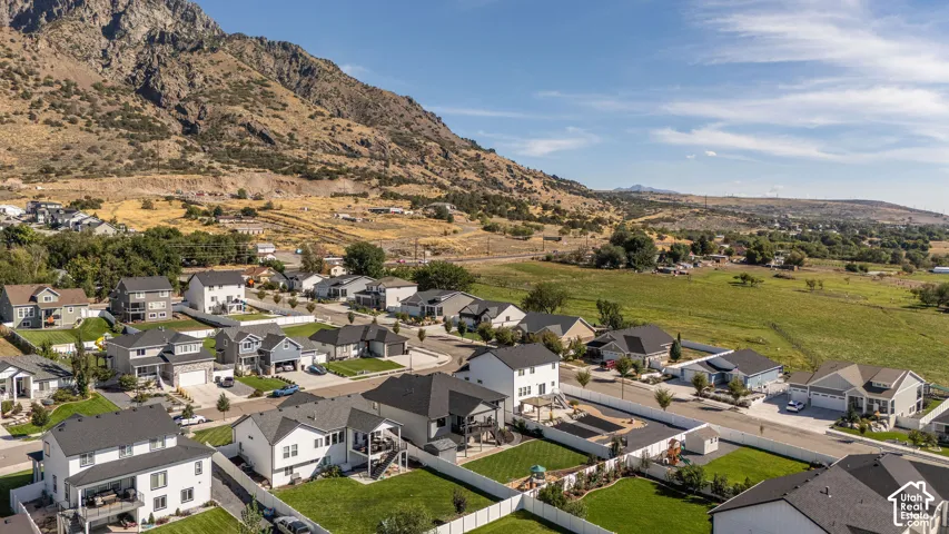 Residential neighborhood with varied architectural styles, private fenced backyards, and expansive natural scenery