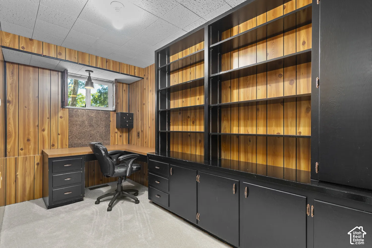 Built-in shelving and cabinetry with dark finishes