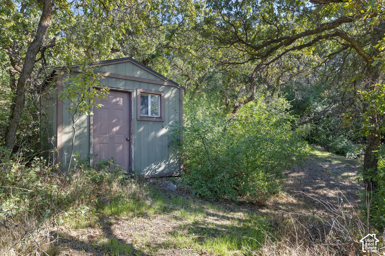 Wood-sided shed with a single window and a solid door, surrounded by mature trees and natural landscaping