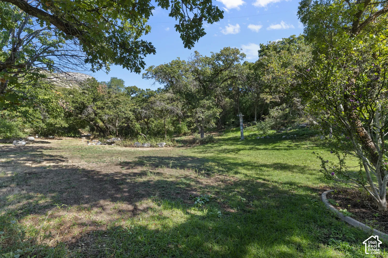 Expansive grassy area with mature trees, natural rock formations, and varied foliage