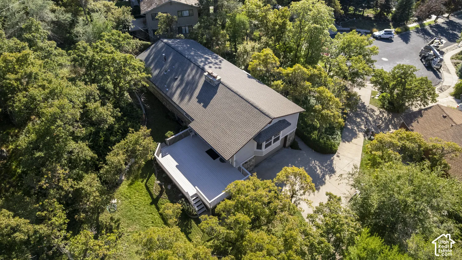Expansive exterior decking, mature trees, and a long driveway