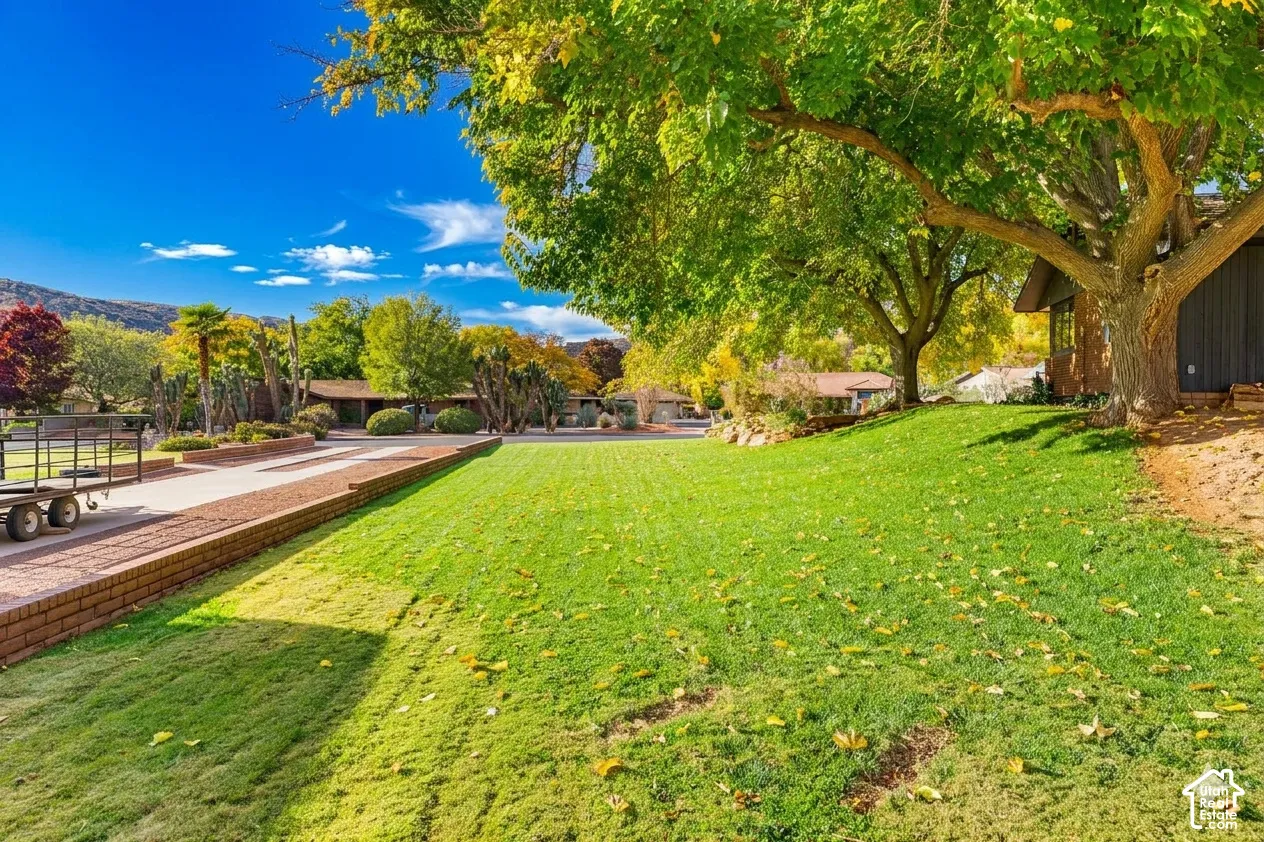Expansive lawn area with mature trees, brick retaining wall, and a paved driveway