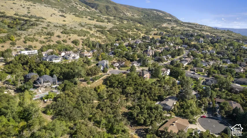 Residential community with mature landscaping, diverse architectural styles, and mountain backdrop