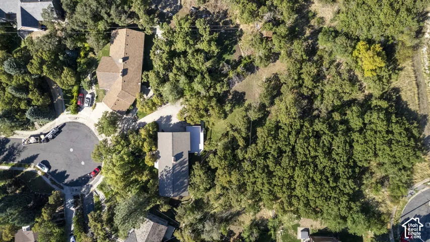 Extensive treed landscape surrounding residential structures