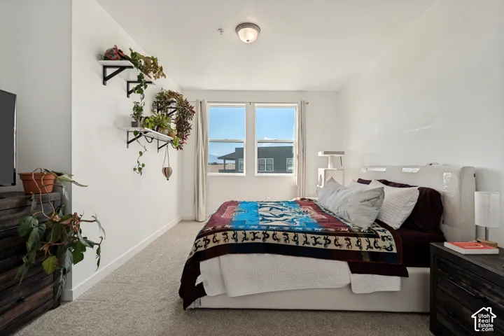 Carpeted flooring, white walls, and a flush mount ceiling light