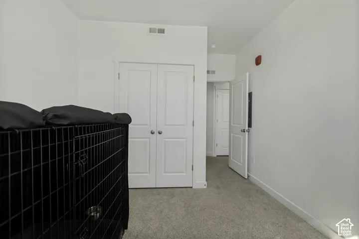 Neutral wall paint, double-panel bifold doors, and carpet flooring