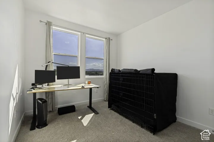 Dual windows offering natural light, light-toned carpet flooring, white wall finishes, and ceiling-mounted curtain rods