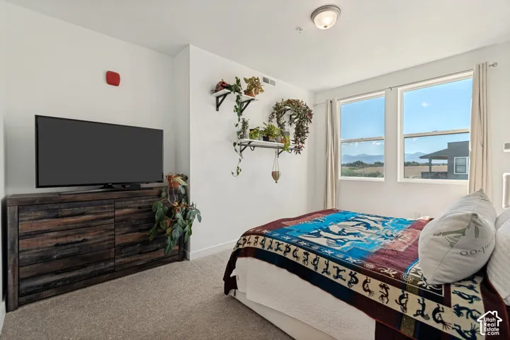 Wall-to-wall carpeting and neutral wall tones
