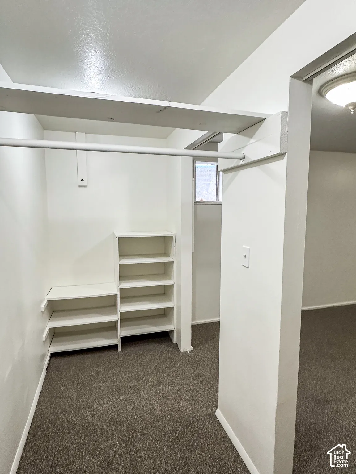 Built-in shelving, hanging rods, and carpeting