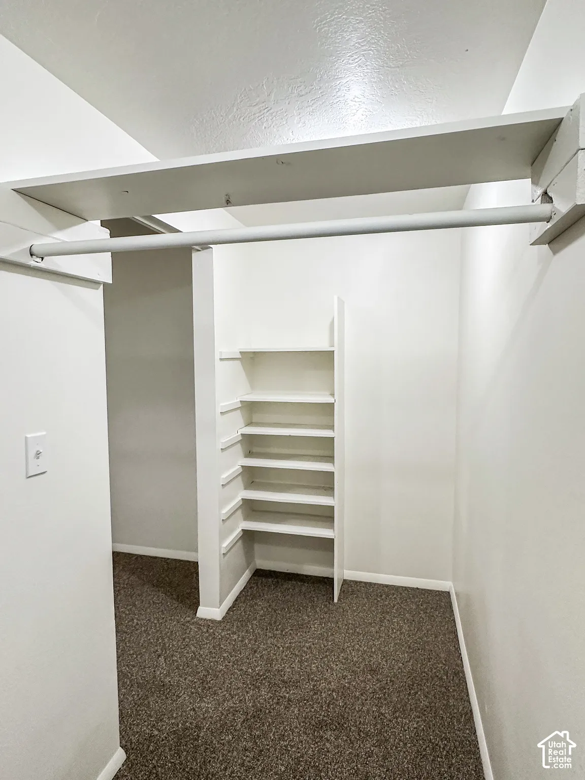 Built-in shelving, hanging rod, and textured carpet flooring