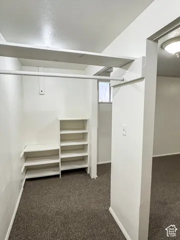 Built-in shelving, hanging rods, and carpeting