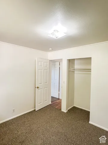Wall-to-wall carpeting with crown molding, a flush-mount ceiling light, and a paneled interior door