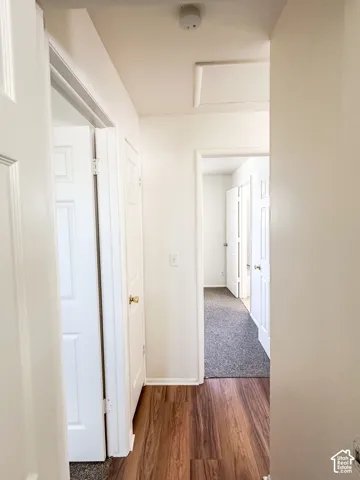Hallway with wood-finish flooring and white paneled doors