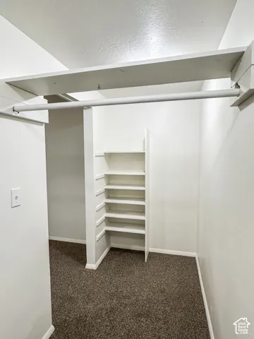 Built-in shelving, hanging rod, and textured carpet flooring