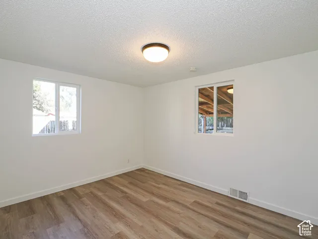 Bright interior with two windows, wood-finish flooring, a flush-mount ceiling light, and white walls