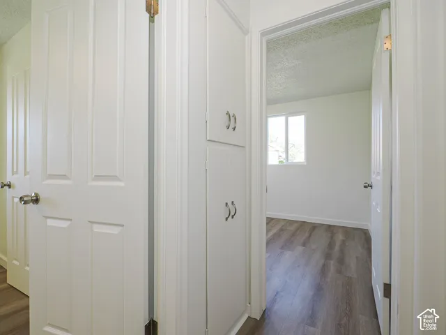 White paneled doors, built-in storage cabinetry with brushed nickel pulls, wood-finish flooring, and a window with white trim
