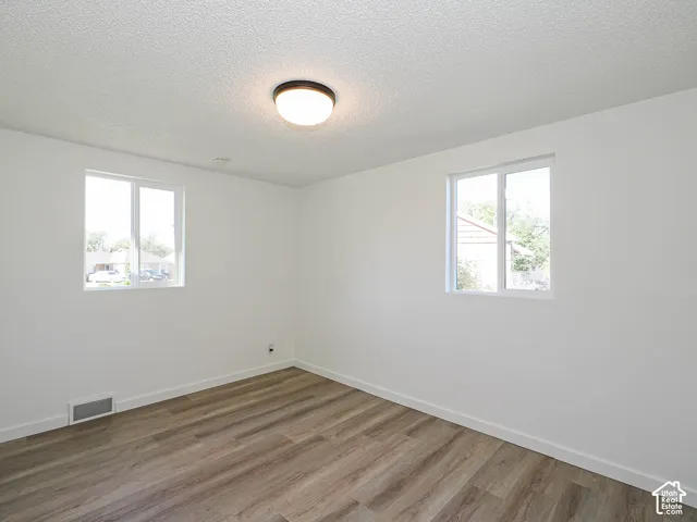 White walls, wood-finish flooring, two windows, ceiling-mounted light fixture