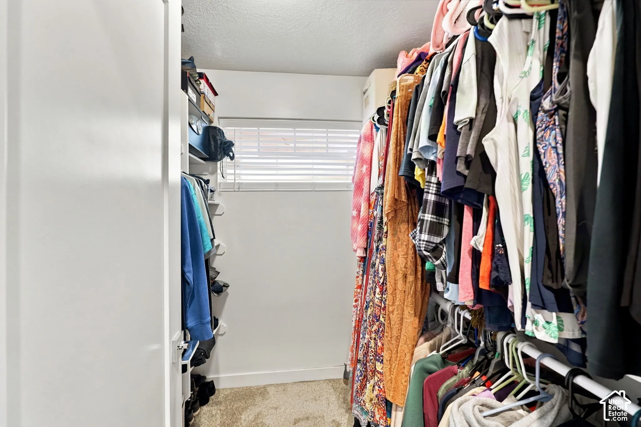 Walk-in closet featuring carpet flooring, built-in shelving, and a window with horizontal blinds
