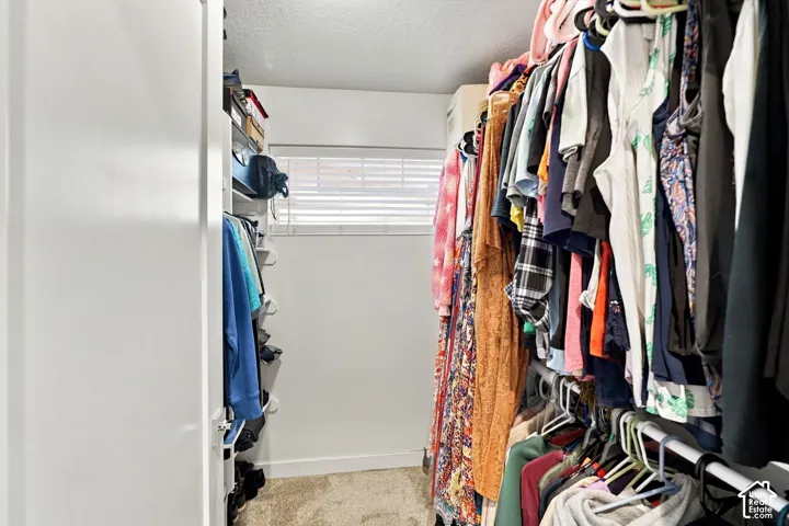 Walk-in closet featuring carpet flooring, built-in shelving, and a window with horizontal blinds