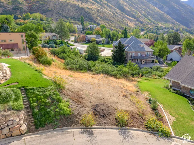 Expansive undeveloped lot with natural terrain, partial grass, and a paved street frontage