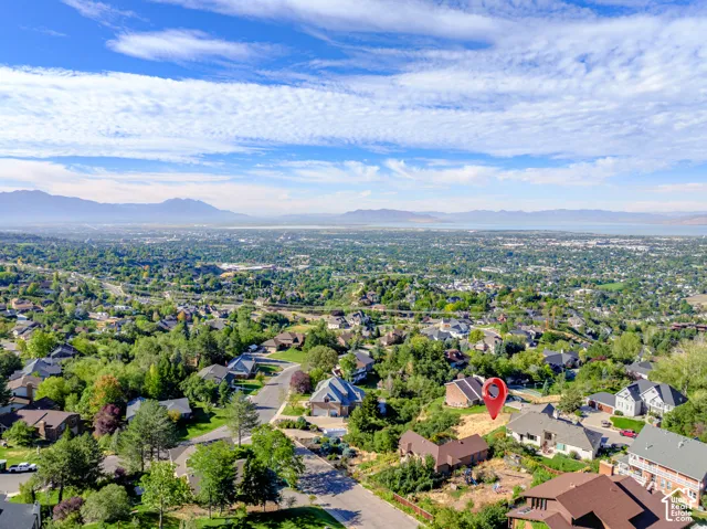 Expansive aerial perspective showcasing a developed residential area with mature trees, a distant lake, and mountain range backdrop