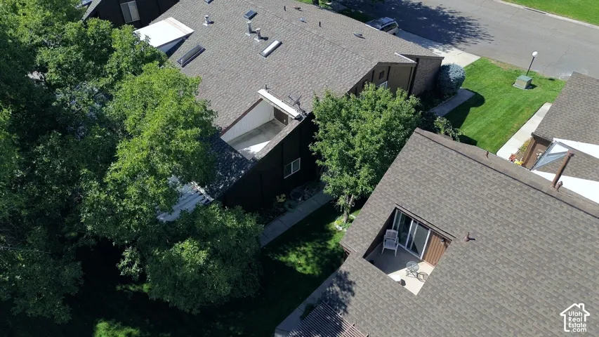 Pitched shingle roof with multiple skylights