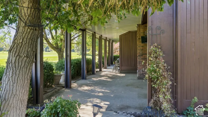 Expansive covered patio featuring a concrete surface, supported by dark vertical columns, with a corrugated ceiling, and a prominent mature tree
