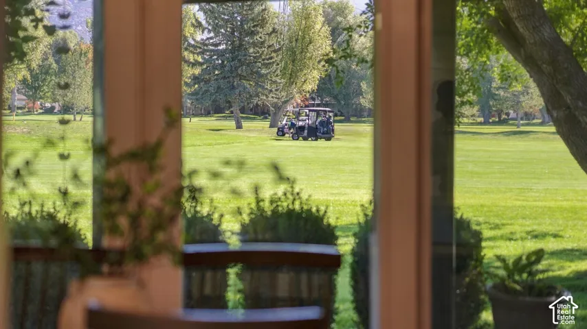 Expansive green space with mature trees, visible through a large window