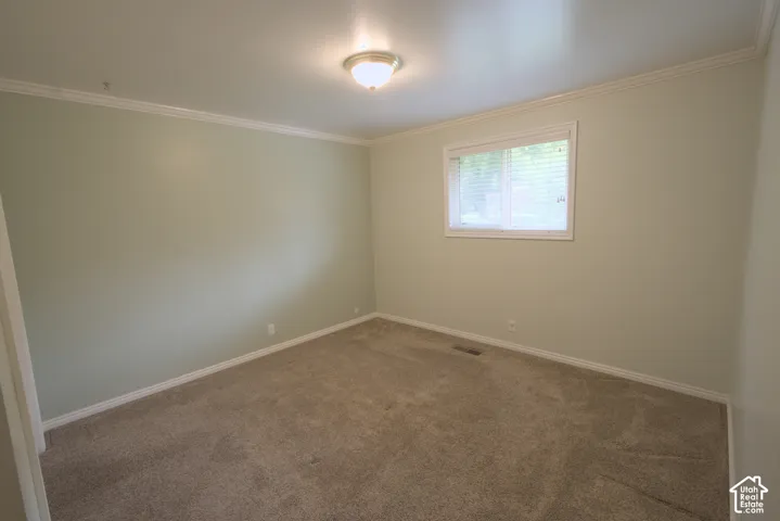 Recessed window with blinds, overhead flush-mount lighting, and neutral carpeting